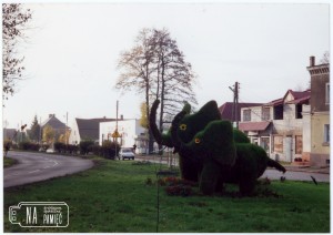 Koniec lat 90. Słonie w Radwanicach